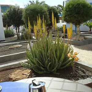 apart10a.hotelsfuerteventura.org/